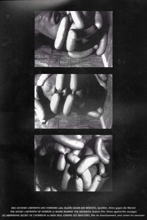 Das geheime Labyrinth des Horrors (1989) poster