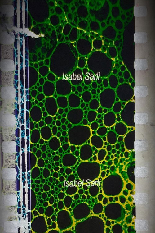 Mirando las estrellas poster