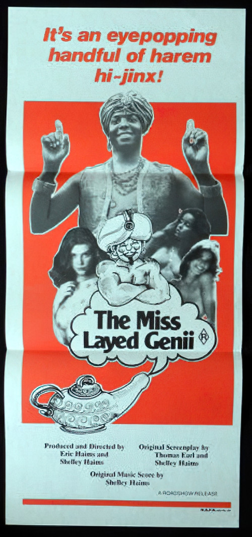 The Mislayed Genie (1973) poster