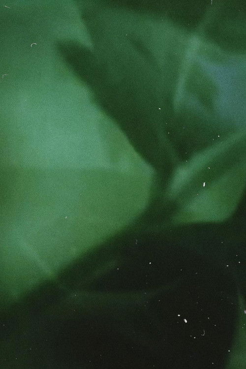 The Crystal Text (2012) poster