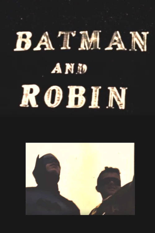 Batman and Robin (1964) poster