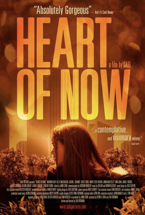 Heart of Now (2010) poster