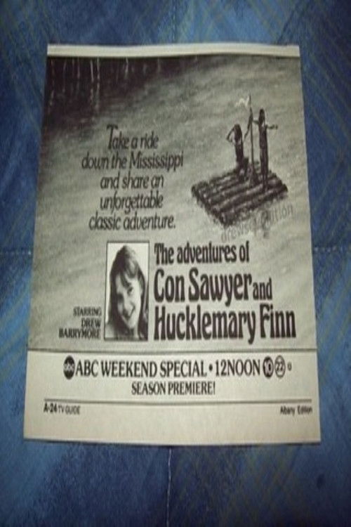 The Adventures of Con Sawyer and Hucklemary Finn (1985) poster