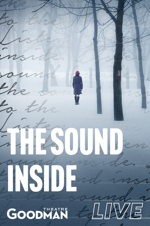 The Sound Inside (2021) poster