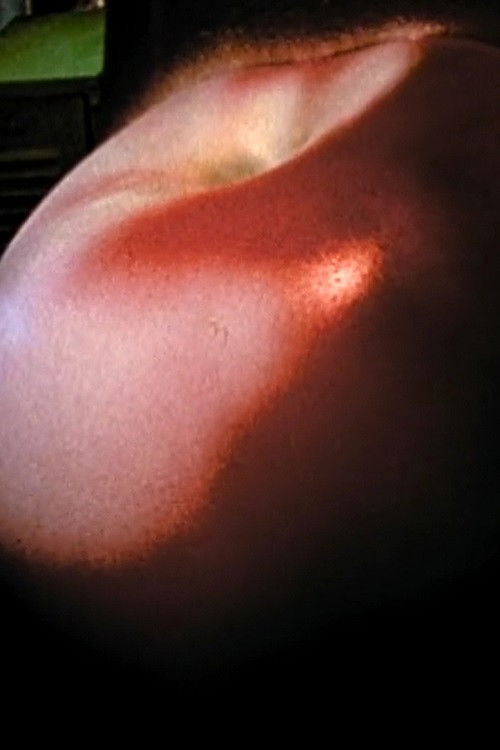 Apple Summer (1974) poster