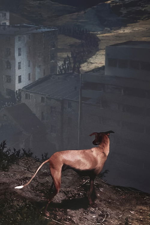 Songs for a Passerby (2023) poster