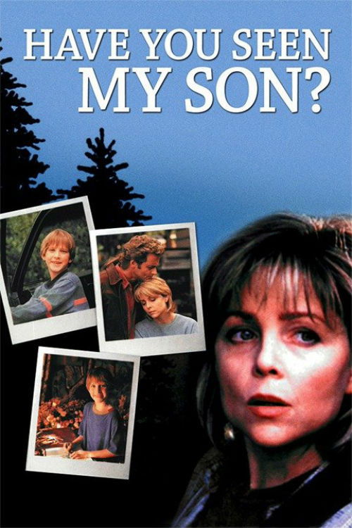 Have You Seen My Son (1996) poster