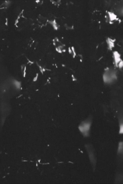 Rayning (2010) poster