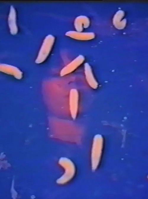 Italian Portrait (1973) poster