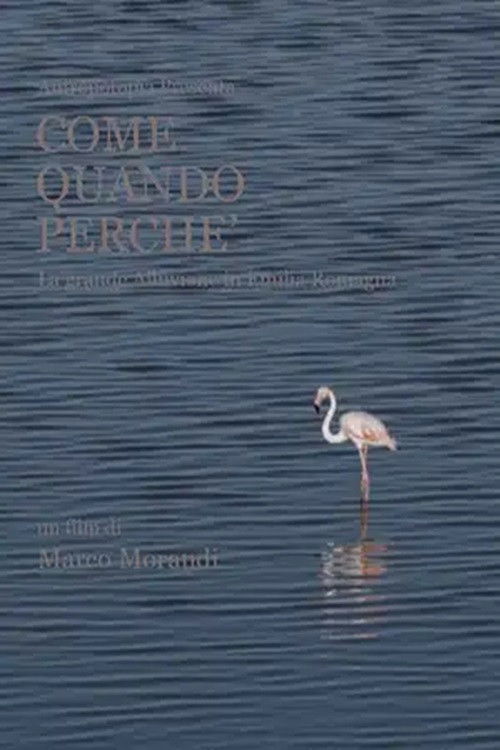 Come quando perché (2024) poster
