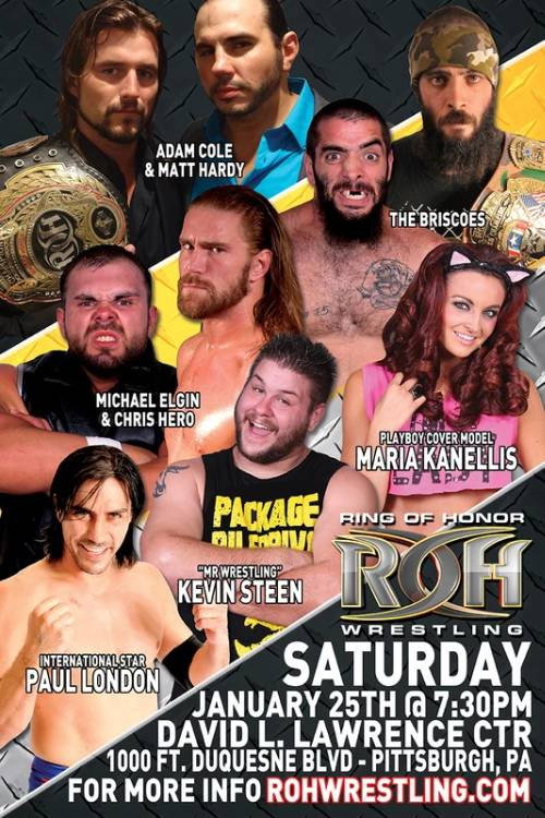 ROH: Wrestling's Finest (2014) poster