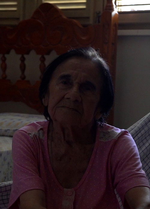 O Tempo do Olhar e o Olhar no Tempo (2019) poster