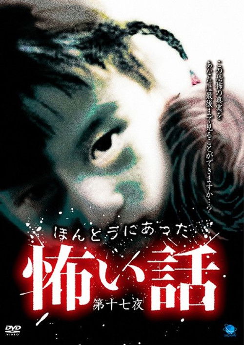 Scary True Stories: Night 17 (2010) poster