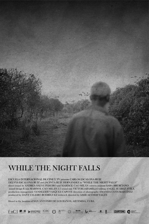 While The Night Falls (2023) poster