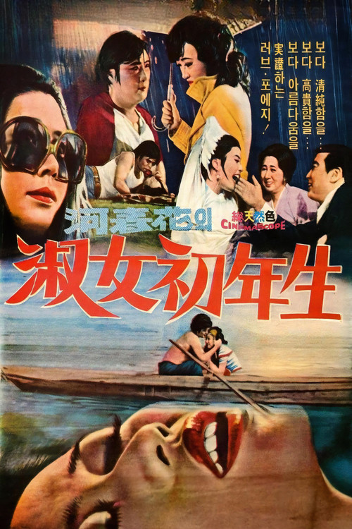 숙녀 초년생 (1974) poster
