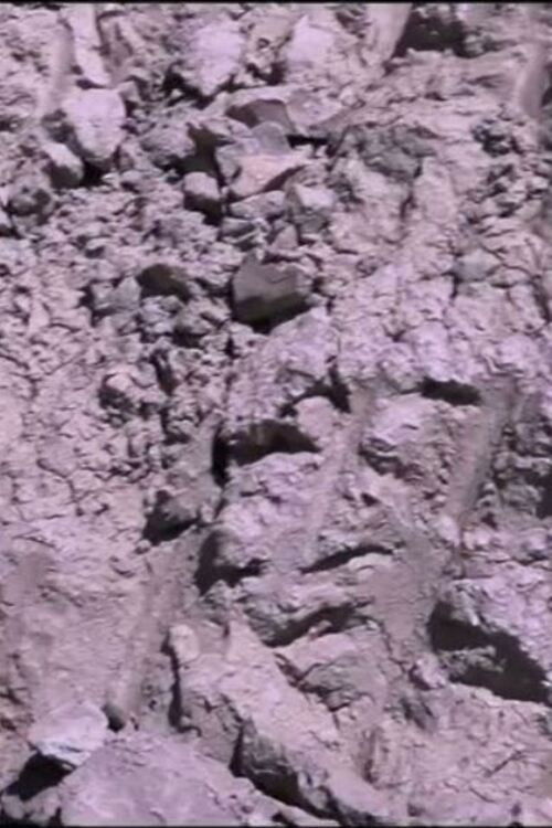 Naturvölker (2022) poster