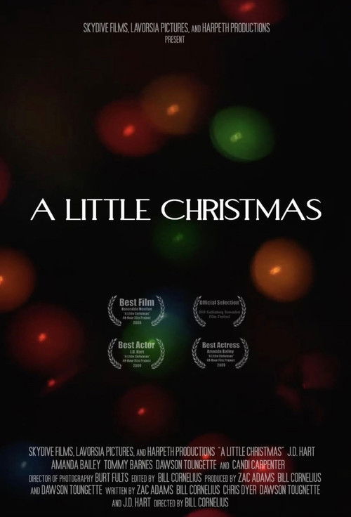 A Little Christmas (2009) poster