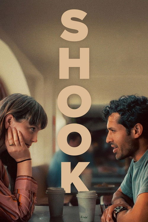 Shook (2025) poster
