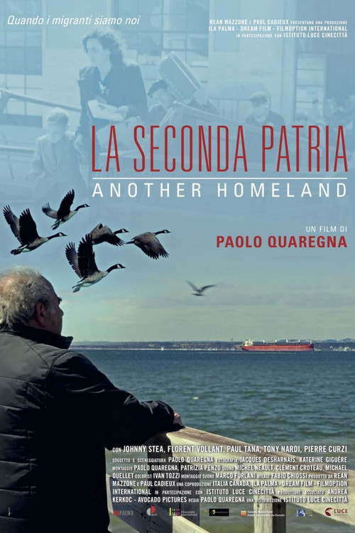La seconda patria - Another Homeland (2019) poster