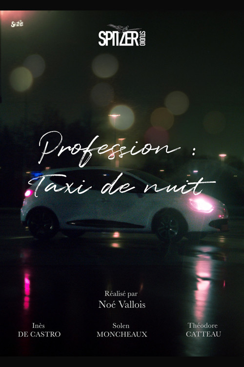 Profession : Taxi de nuit (2024) poster