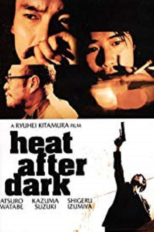 Heat After Dark (1996) poster