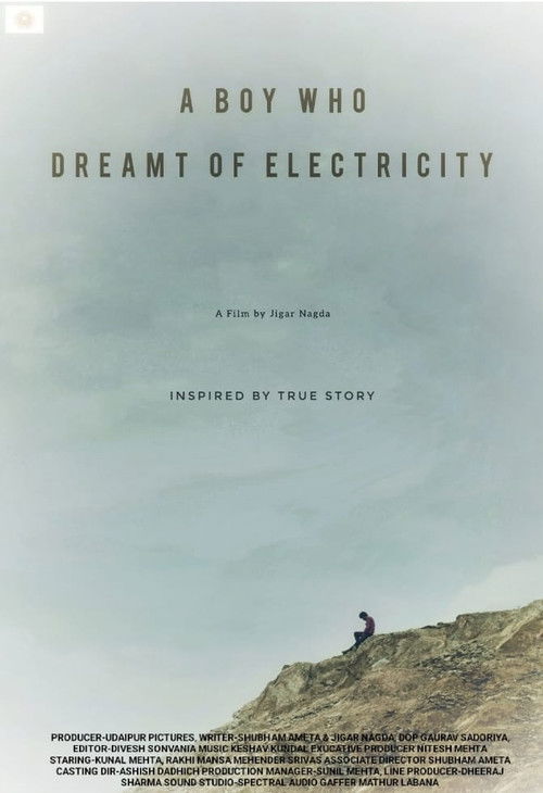 A Boy Who Dreamt of Electricity (2024) poster
