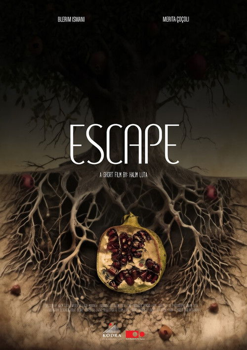 Escape (2024) poster