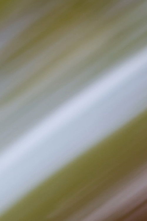 In a Circle Around Me, The Sequence of years (2017) poster