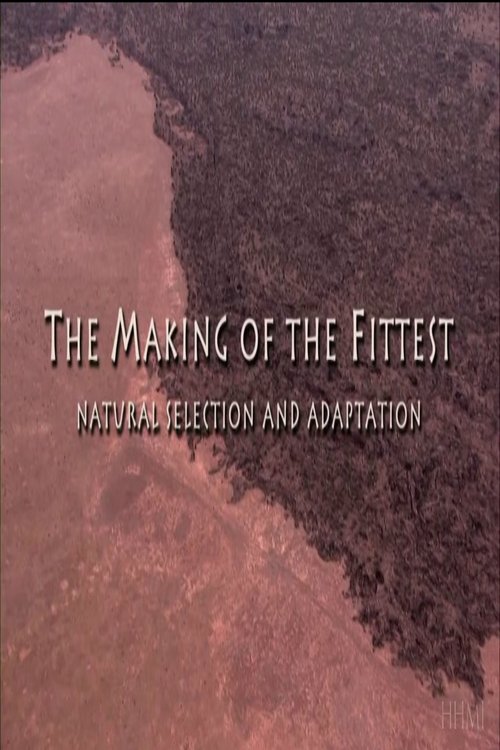 The Making of the Fittest: Natural Selection and Adaptation (2011) poster