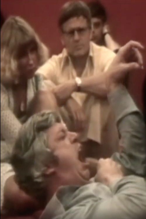 Primalterapi: vintern 1977 (1978) poster