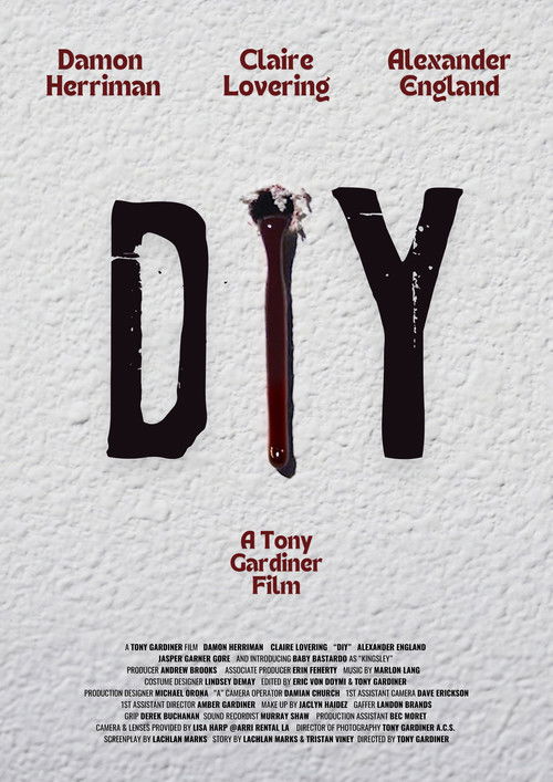 DIY (2025) poster
