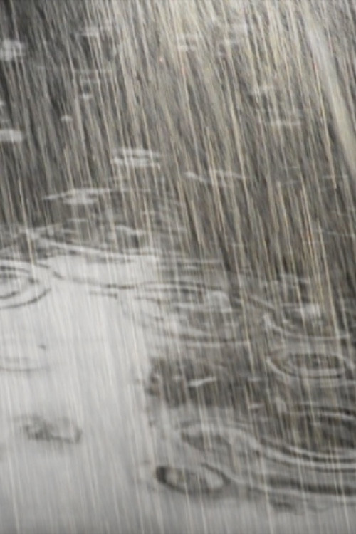 Rain: Then and Now (2019) poster