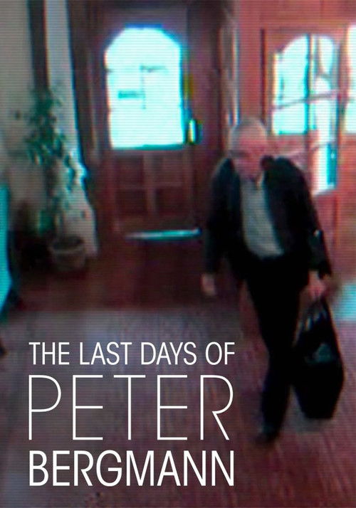 The Last Days of Peter Bergmann (2013) poster