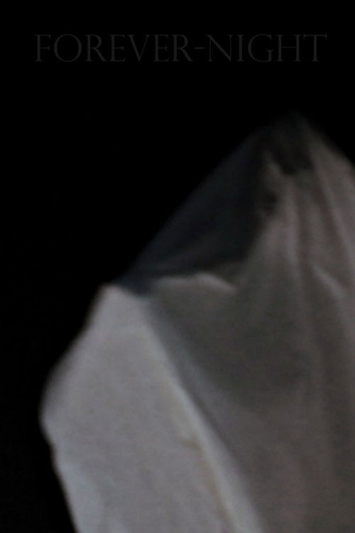 Forever-Night (2018) poster