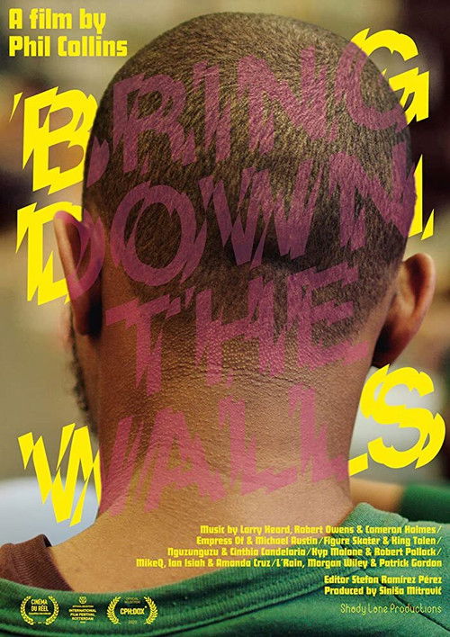 Bring Down The Walls (2020) poster