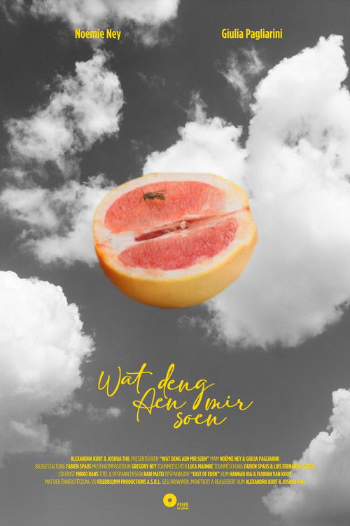 Wat deng Aen mir soen (2025) poster