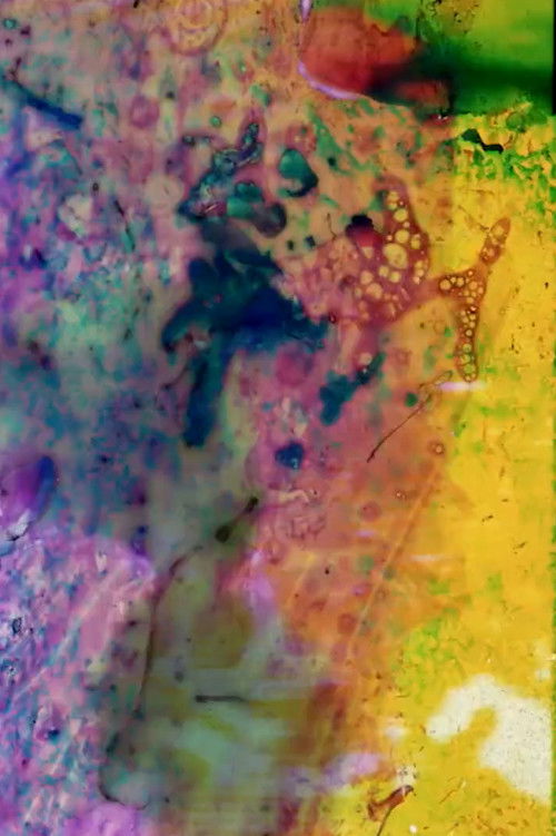 Kinski Wanted Herzog to Direct But He Turned it Down (2017) poster