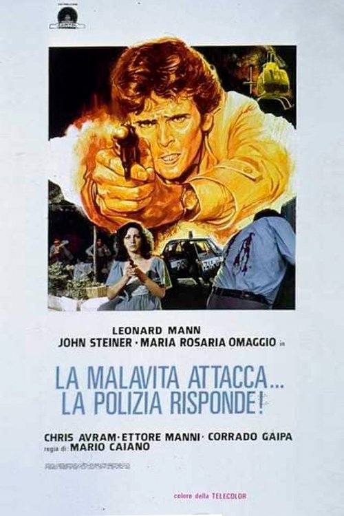 La malavita attacca... la polizia risponde! (1977) poster