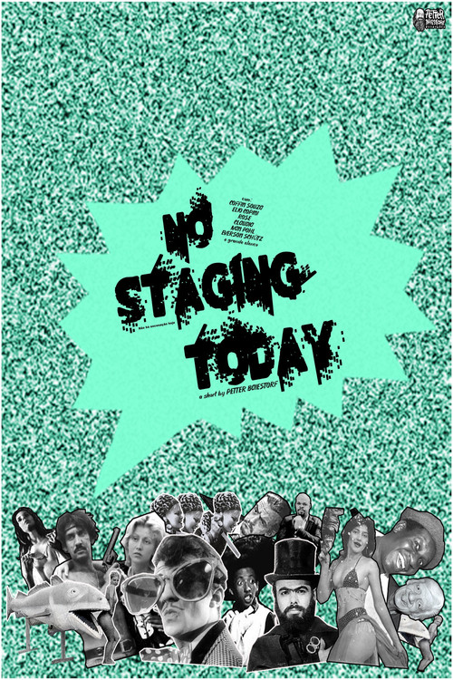 No Staging Today! (2002) poster