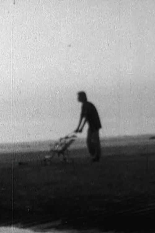 Another Room (1979) poster