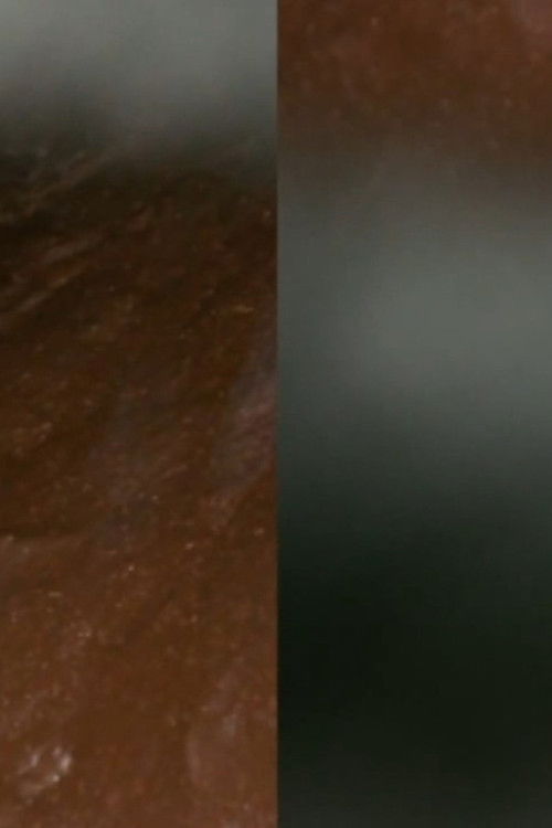 And the Earth Opened (2011) poster