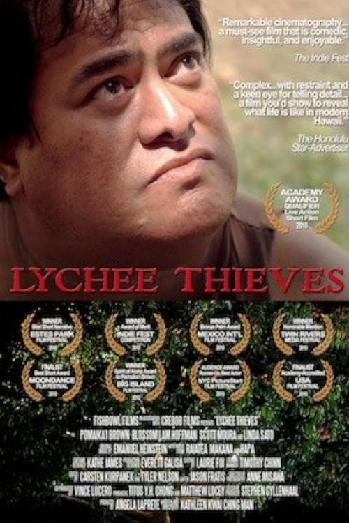 Lychee Thieves (2010) poster