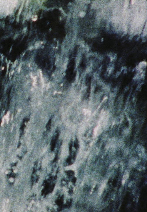 A Rain of Roses (To Rose Lowder) (1984) poster