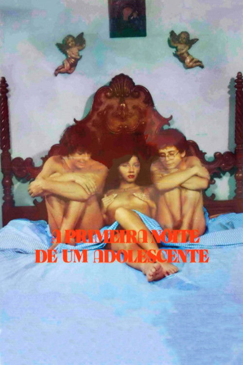 A Primeira Noite de um Adolescente (1982) poster