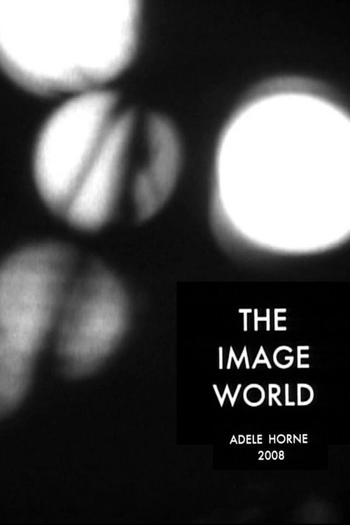The Image World (2008) poster