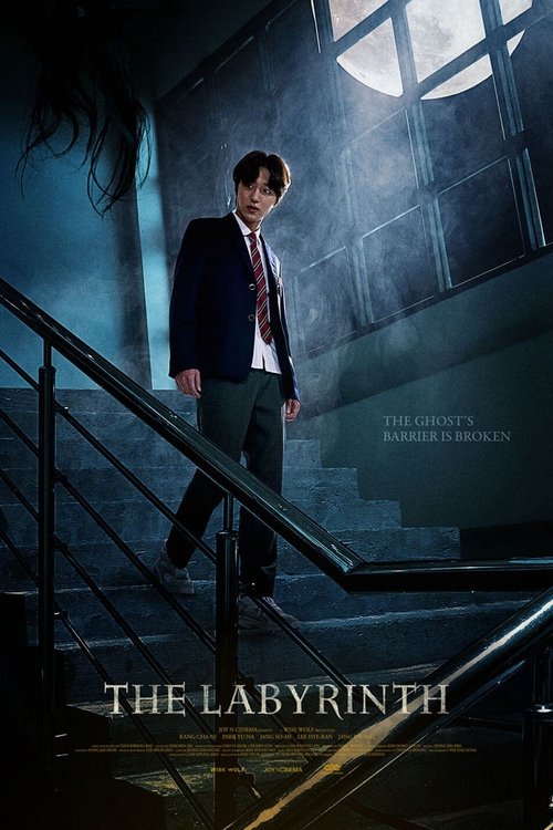 화이트데이: 부서진 결계 (2021) poster