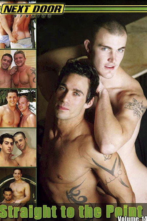 Straight to the Point Volume 14 (2009) poster