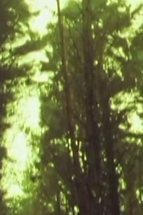 Orchard (2004) poster