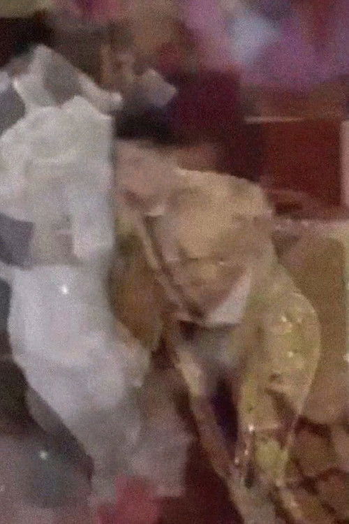 Haiku Flamenco Haiku (2024) poster