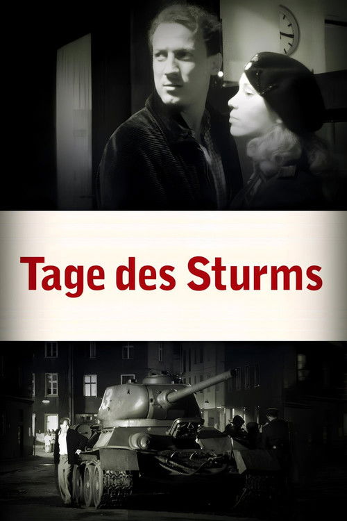 Tage des Sturms (2003) poster